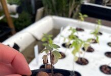 पारपंरिक खेती के साथ अब सीखेंगे ड्रोन से खेती