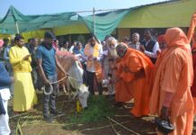 संतो के आतिथ्य में गोमाता की आरती कर हरा चारा व लापसी का भोजन कराया