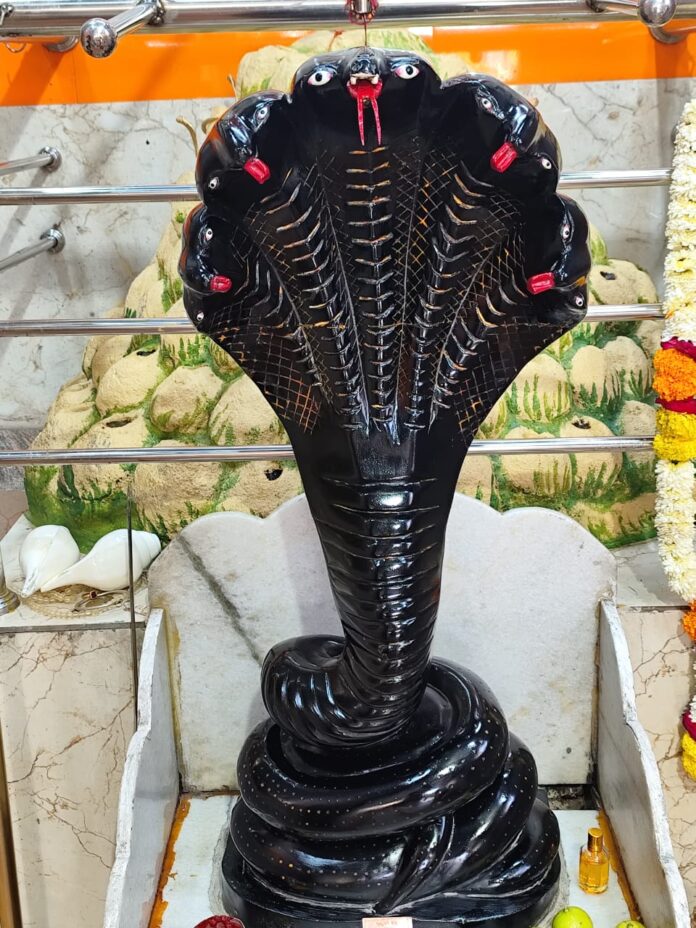 WhatsApp Image 2025-11-23 at 4.39.14 PM