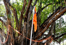 त्रिवेणी तट पर विश्व कल्याण की भावना से 72 वां महारूद्र यज्ञ का हुआ शुभारम्भ